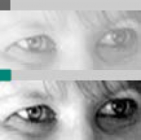 Brigitte von Freyberg